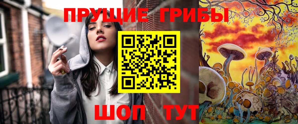 Галлюциногенные грибы Psilocybe  Вход с VPN  Петропавловск-Камчатский 